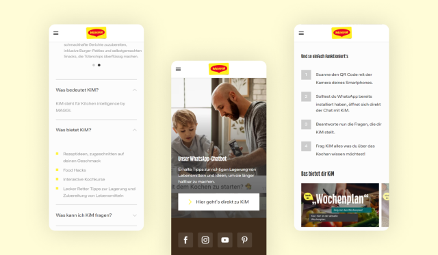 Ansicht der Website von Maggi.de, bereitgestellt von der 1xINTERNET GmbH