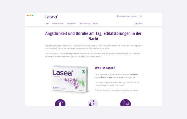Ansicht der Website der Schwabe Gruppe, bereitgestellt durch die 1xINTERNET GmbH